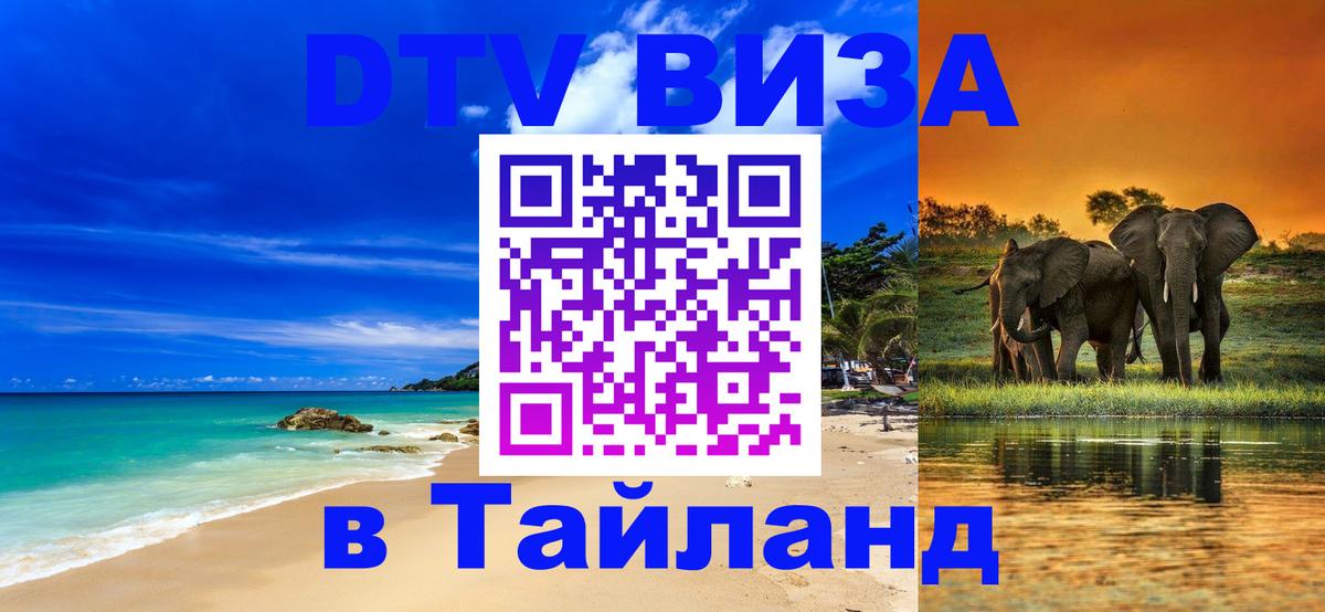 Оформление DTV визы под ключ: стоимость и тарифы, только загранпаспорт - 19.11.2025 